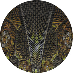 Round Machine Washable Transitional Brown Rug, wshpat1371