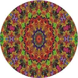 Round Machine Washable Transitional Saffron Red Rug, wshpat1390