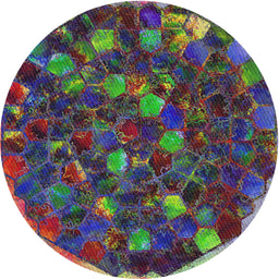 Round Machine Washable Transitional Dark Purple Rug, wshpat1515
