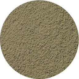 Round Patterned Copper Green Novelty Rug, pat1599