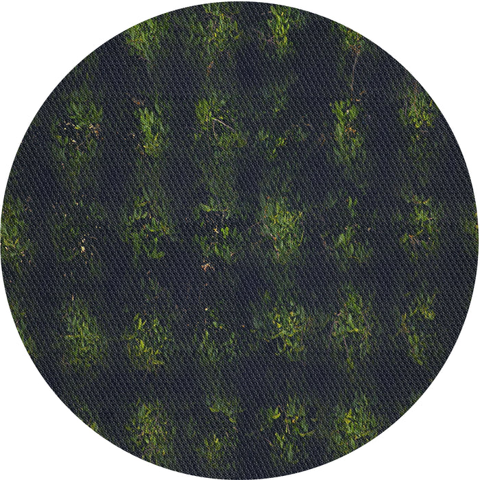 Round Patterned Black Abstract Machine Washable Rug, wshpat1629