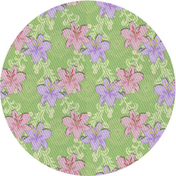 Round Patterned Tea Green Novelty Rug, pat1815