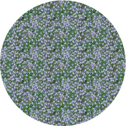 Round Patterned Blue Novelty Rug, pat1848