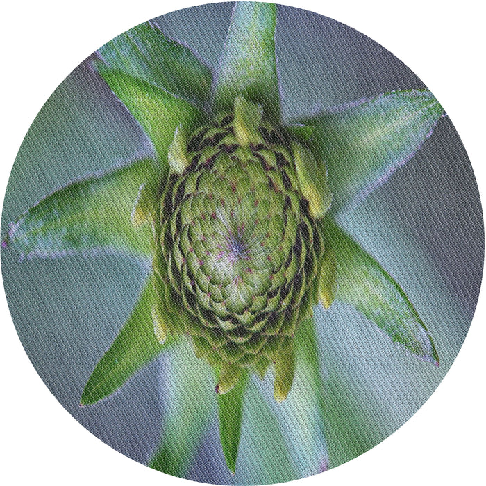 Round Patterned Dark Sea Green Novelty Rug, pat1857