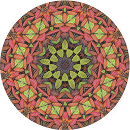 Round Machine Washable Transitional Saffron Red Rug, wshpat1876