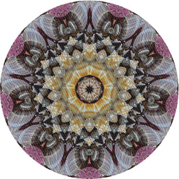 Round Machine Washable Transitional Burgundy Brown Rug, wshpat194