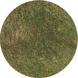 Round Patterned Copper Green Novelty Rug, pat2088