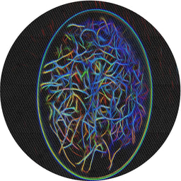 Round Machine Washable Transitional Black Rug, wshpat2103