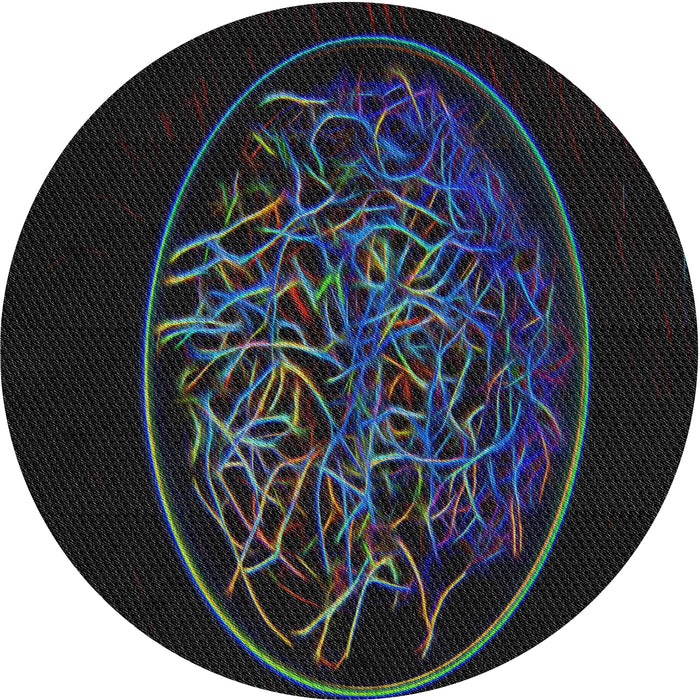 Round Machine Washable Transitional Black Rug, wshpat2103