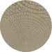 Round Machine Washable Transitional Brown Rug, wshpat2178