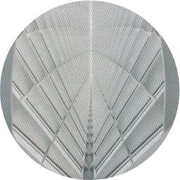 Round Patterned Light Gray Novelty Rug, pat239