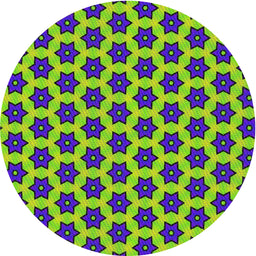 Round Patterned Green Novelty Rug, pat2452