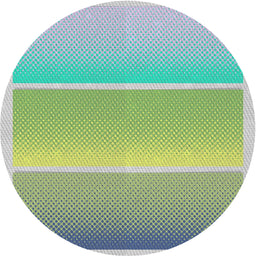 Round Patterned Pale Green Novelty Rug, pat2512