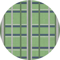Round Patterned Light Green Novelty Rug, pat2718