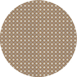 Round Machine Washable Transitional Sienna Brown Rug, wshpat2798