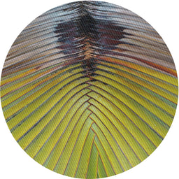 Round Patterned Avocado Green Novelty Rug, pat283