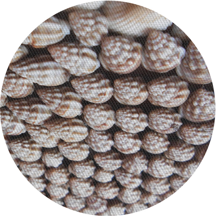 Round Machine Washable Transitional Dark Brown Rug, wshpat2866