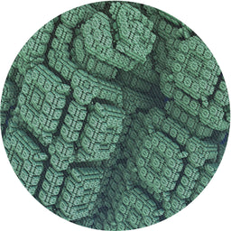 Round Patterned Emerald Green Novelty Rug, pat3361