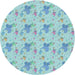 Round Patterned Seafoam Green Novelty Rug, pat3499