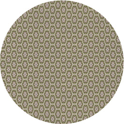 Round Machine Washable Transitional Tan Brown Rug, wshpat352