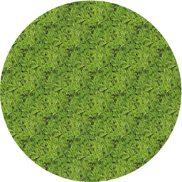 Round Machine Washable Transitional Shamrock Green Rug, wshpat3588