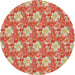 Round Machine Washable Transitional Red Rug, wshpat493