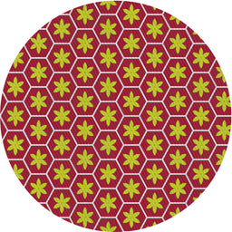 Round Machine Washable Transitional Red Rug, wshpat499