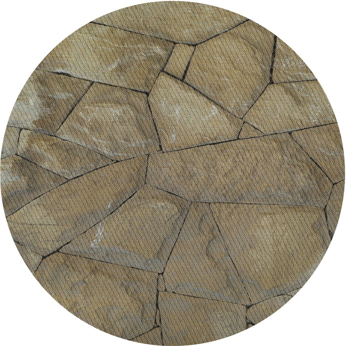 Round Machine Washable Transitional Dark Brown Rug, wshpat620