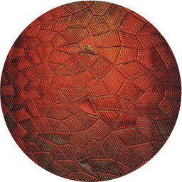 Round Machine Washable Transitional Crimson Red Rug, wshpat738