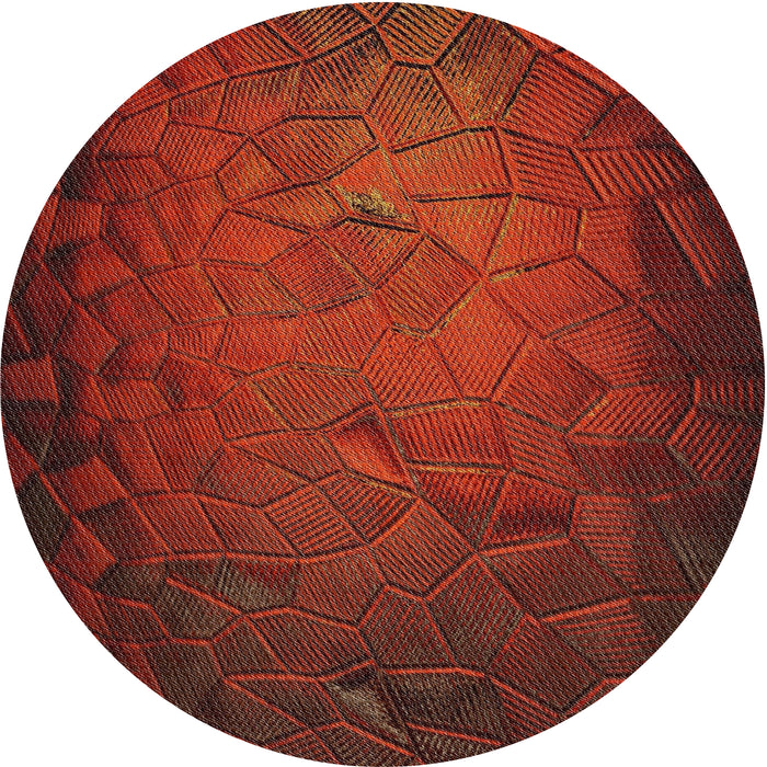 Round Machine Washable Transitional Crimson Red Rug, wshpat738