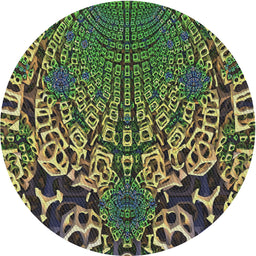 Round Machine Washable Transitional Charcoal Black Rug, wshpat868