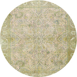 Square Machine Washable Traditional Brass Green Rug, wshtr1106