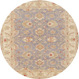 Square Machine Washable Traditional Brown Rug, wshtr1315