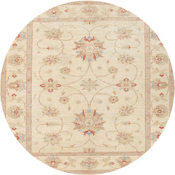 Round Traditional Golden Blonde Gold Oriental Rug, tr1330