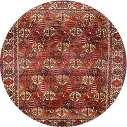 Square Machine Washable Traditional Tomato Red Rug, wshtr1377