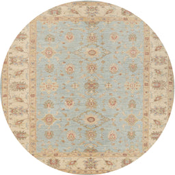 Square Machine Washable Traditional Brown Rug, wshtr1453