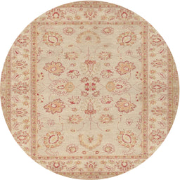 Square Machine Washable Traditional Brown Rug, wshtr1479
