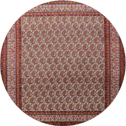 Square Machine Washable Traditional Saffron Red Rug, wshtr1521