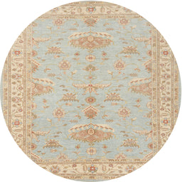 Square Machine Washable Traditional Desert Sand Beige Rug, wshtr1526