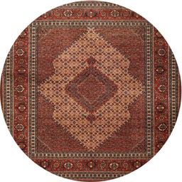 Square Machine Washable Traditional Saffron Red Rug, wshtr1563