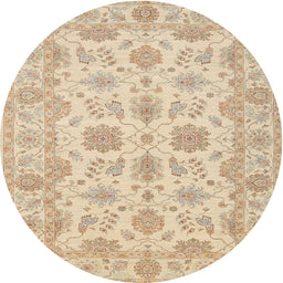 Square Machine Washable Traditional Brown Rug, wshtr1571