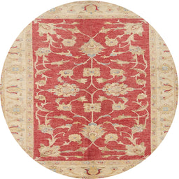 Square Machine Washable Traditional Orange Rug, wshtr1688