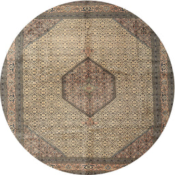 Square Machine Washable Traditional Dark Brown Rug, wshtr1956