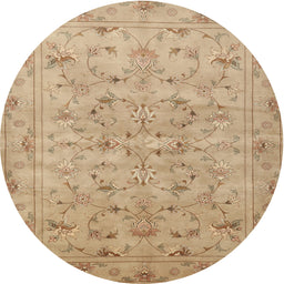 Square Machine Washable Traditional Bronze Brown Rug, wshtr2187