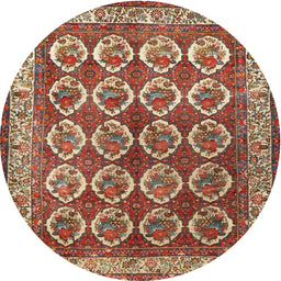 Square Machine Washable Traditional Fire Brick Red Rug, wshtr2248