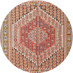 Square Machine Washable Traditional Brown Rug, wshtr226