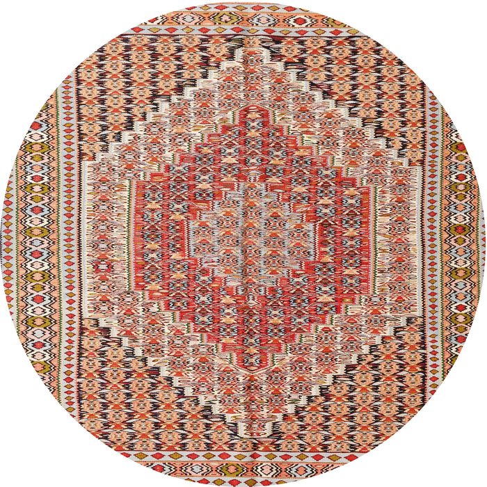 Square Machine Washable Traditional Brown Rug, wshtr226