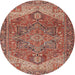 Round Traditional Light Copper Gold Persian Rug, tr2287