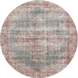 Square Machine Washable Traditional Rose G Pink Rug, wshtr2445