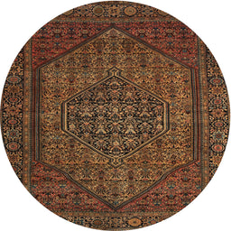 Square Machine Washable Traditional Night Red Rug, wshtr25